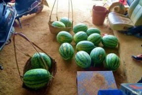 吃瓜网为什么进不去,吃瓜网无法访问背后的真相