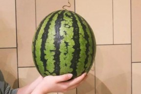 广州网红安琪儿的吃瓜,娱乐圈那些不为人知的“瓜”